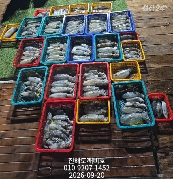 8328.jpg