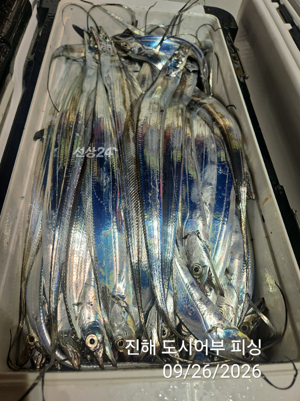 KakaoTalk_20260926_044028225_15.jpg