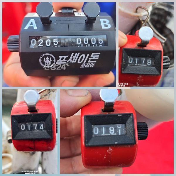 38616.jpg