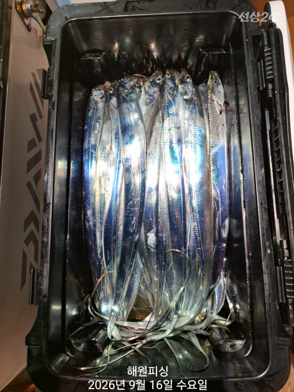 1000036740.jpg
