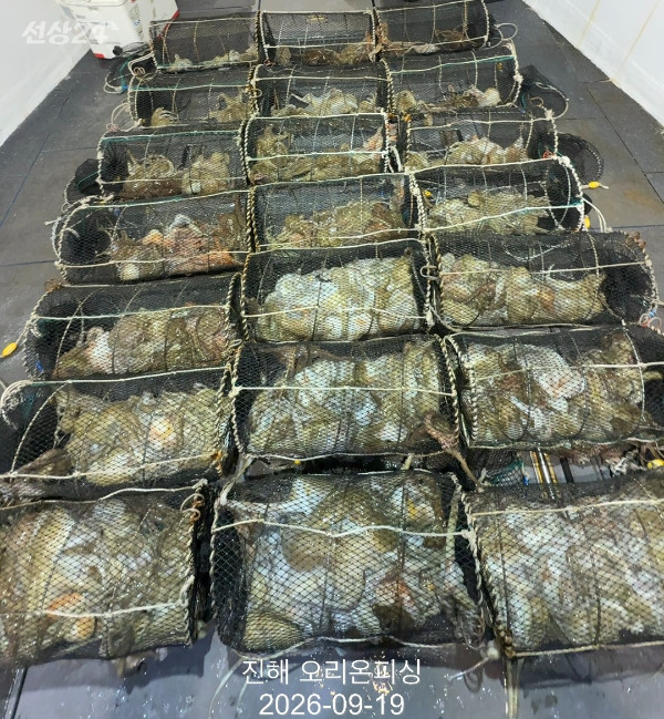 KakaoTalk_20260919_032025240_17.jpg