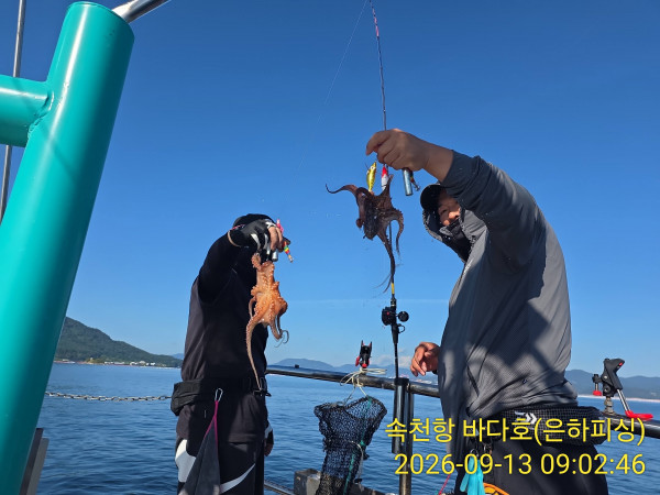 IMG_20260913_090246.jpg