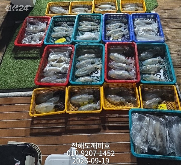 8253.jpg