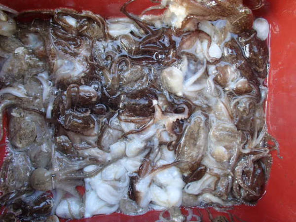110.JPG
