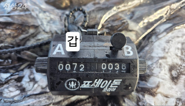23994.jpg