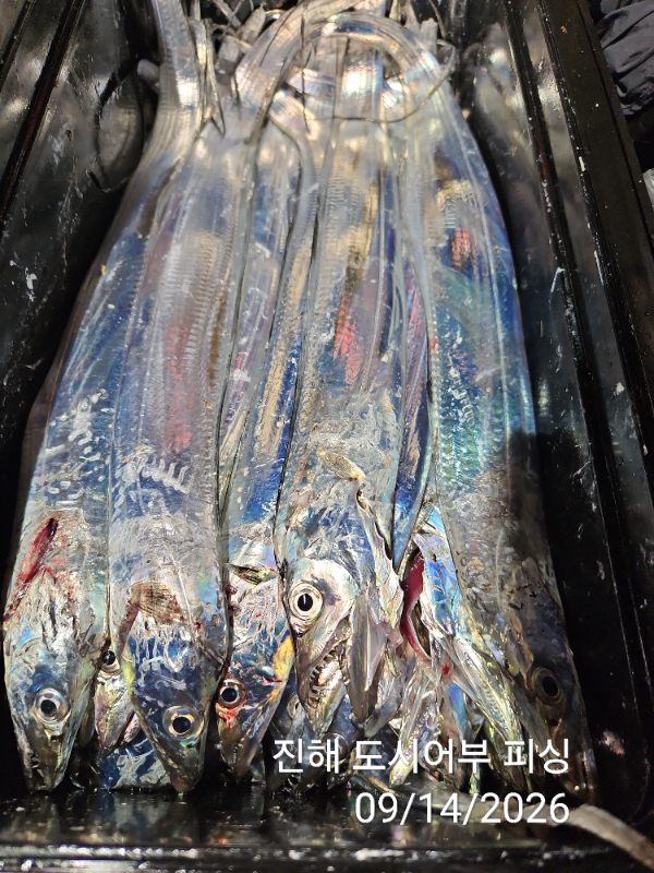 KakaoTalk_20260914_045414421_18.jpg