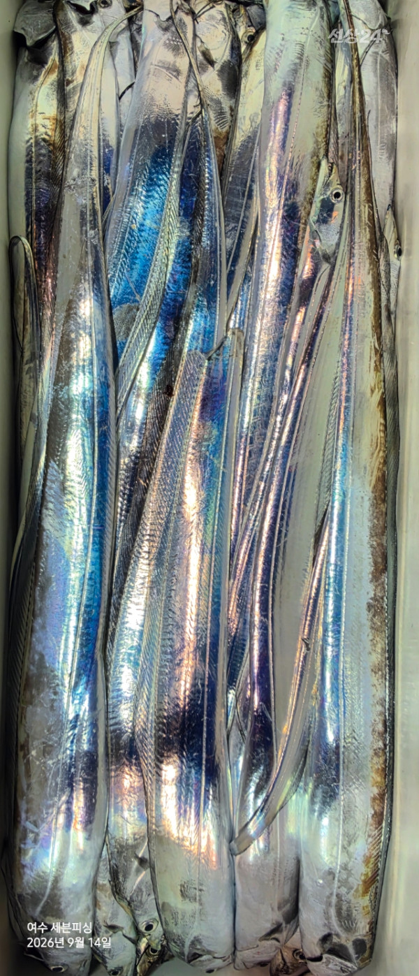1000057626.jpg