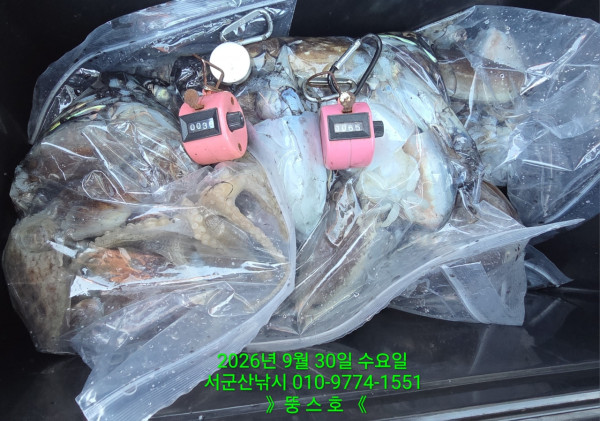 군산 선상낚시, 바다낚시 출조 전문 ☆서군산낚시☆_사진_20260930_4.jpg