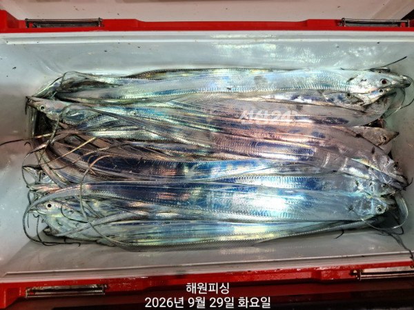 1000037061.jpg