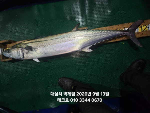 KakaoTalk_20260913_131622209.jpg