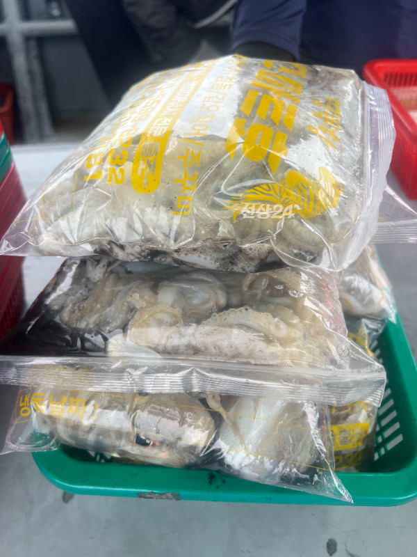 KakaoTalk_20260924_172314773_09.jpg