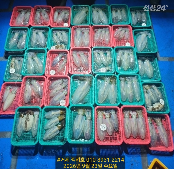 1000094532.jpg