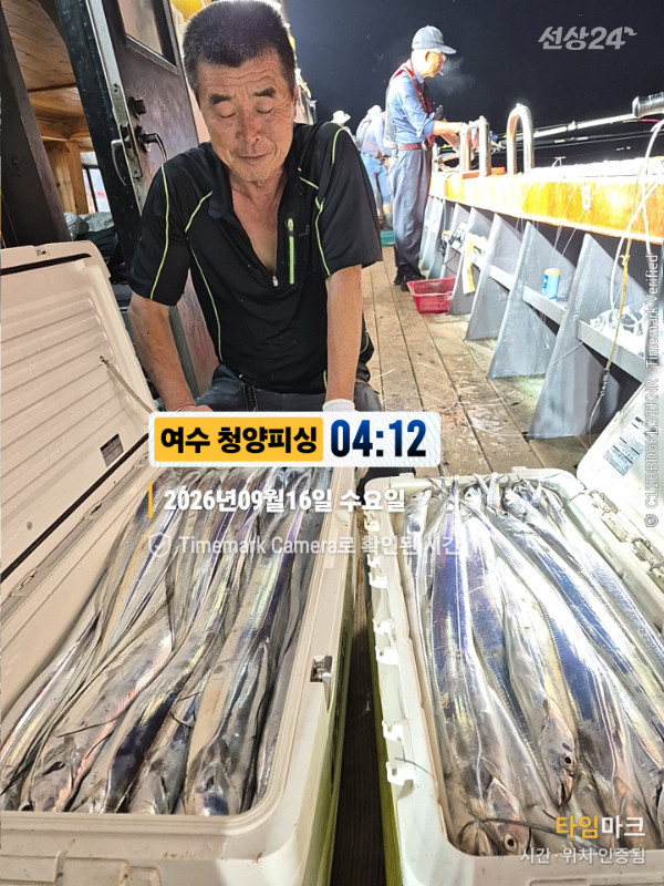 2026-09-16 04.12.05__(제목-여수 청양피싱).jpg