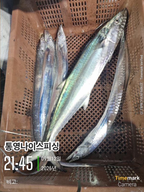 2026-09-12 21.45.29__(통영나이스피싱)_(비고-).jpg