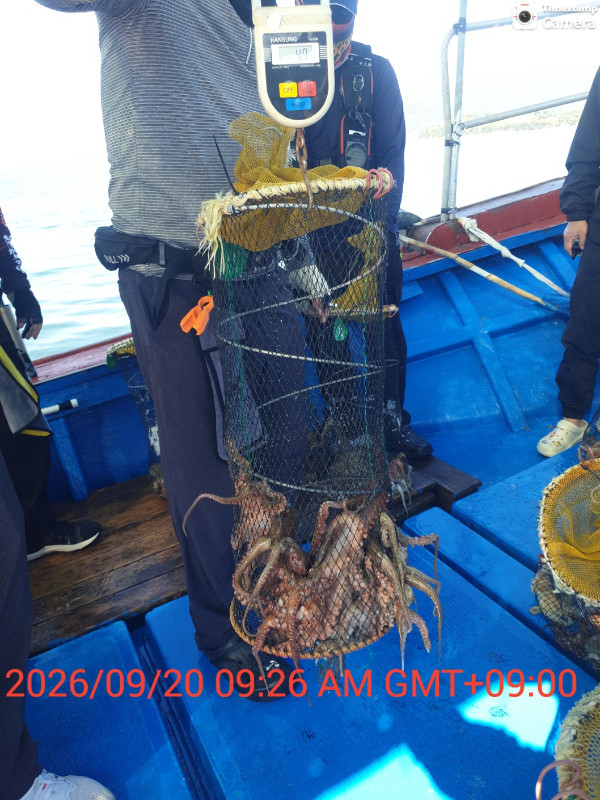 1789891580726.jpg