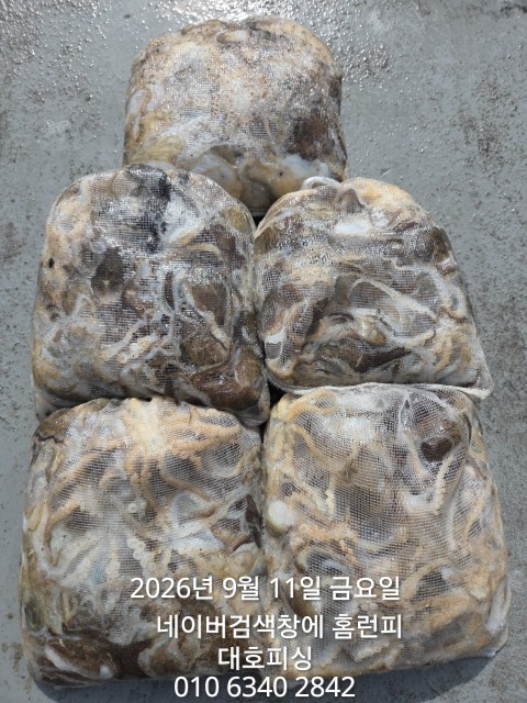1000018147.jpg