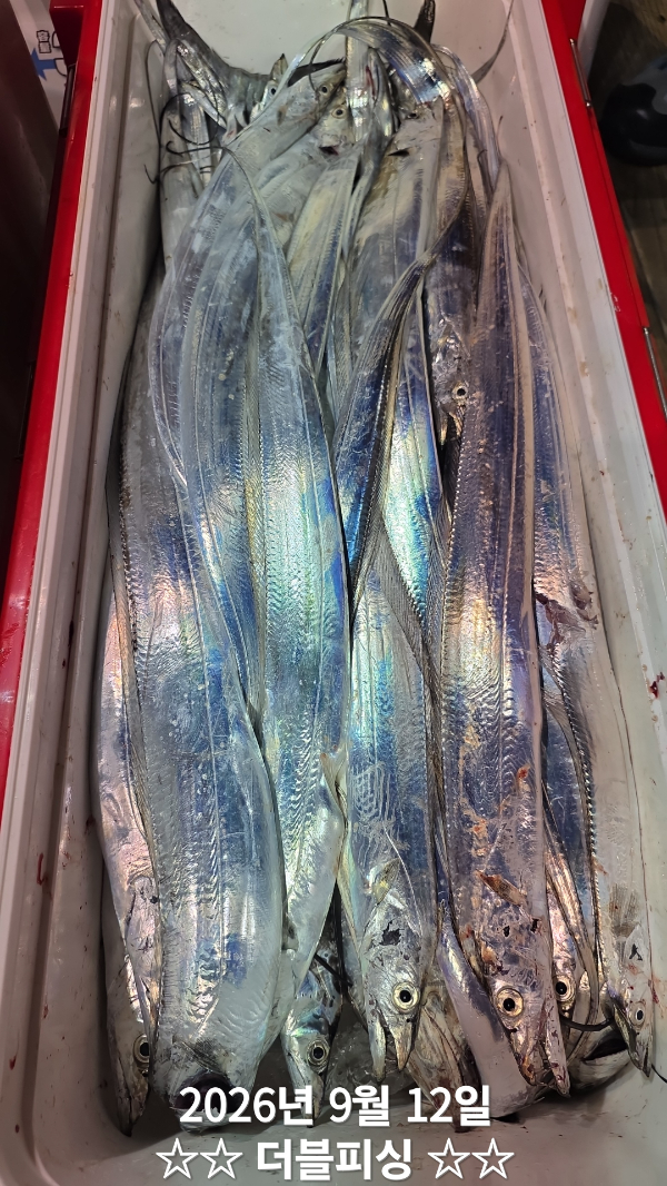 50093.jpg