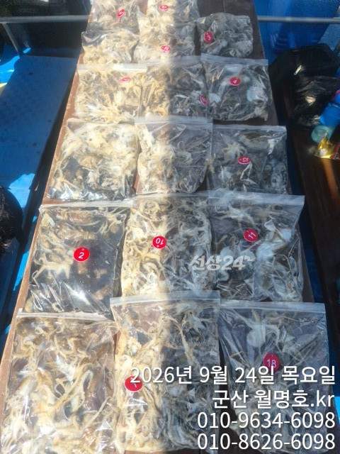 17054.jpg
