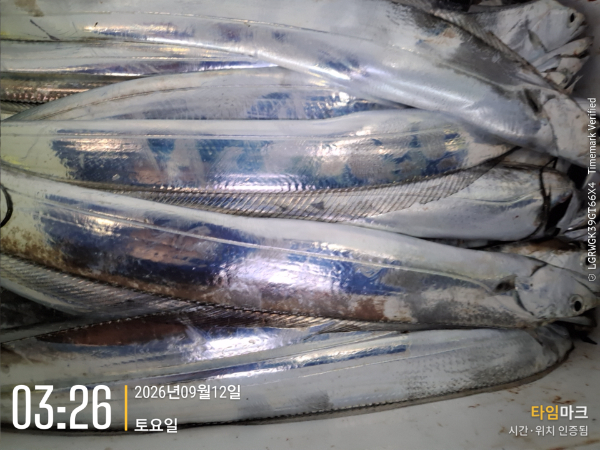 2026-09-12 03.26.16_대한민국.jpg