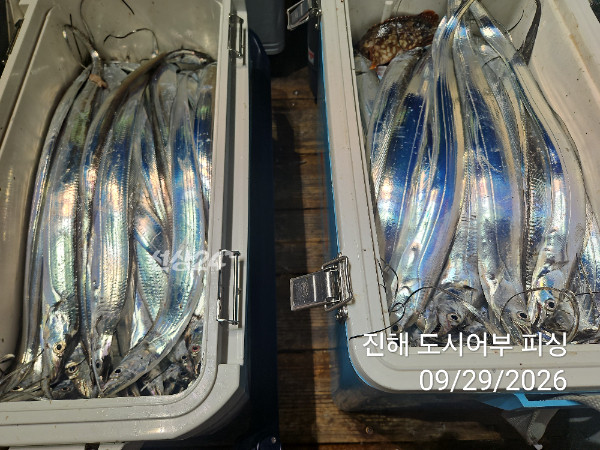 KakaoTalk_20260929_052220398_14.jpg