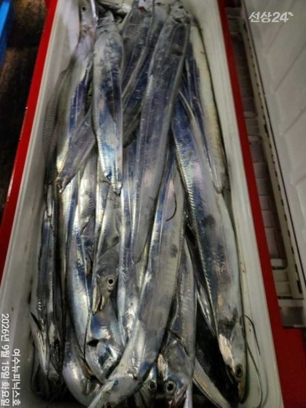 KakaoTalk_20260915_051645408_12-tile갈치.jpg