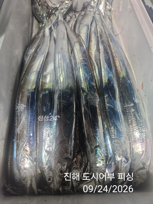 KakaoTalk_20260924_050456578_18.jpg