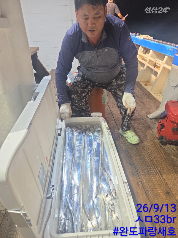 완도파랑새호(블루버드)_사진_20260913_3.jpg