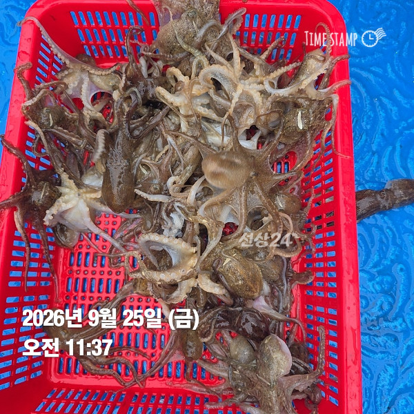 KakaoTalk_20260925_210425992_04.jpg
