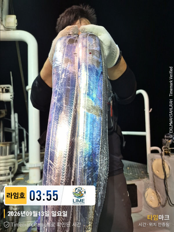 KakaoTalk_20260913_172123987_01.jpg