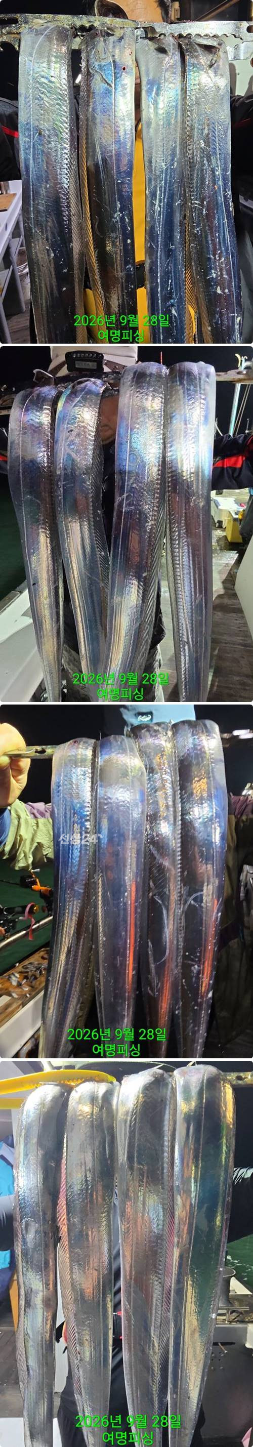28일부상.jpg