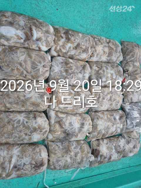 KakaoTalk_20260920_192144674_05.jpg