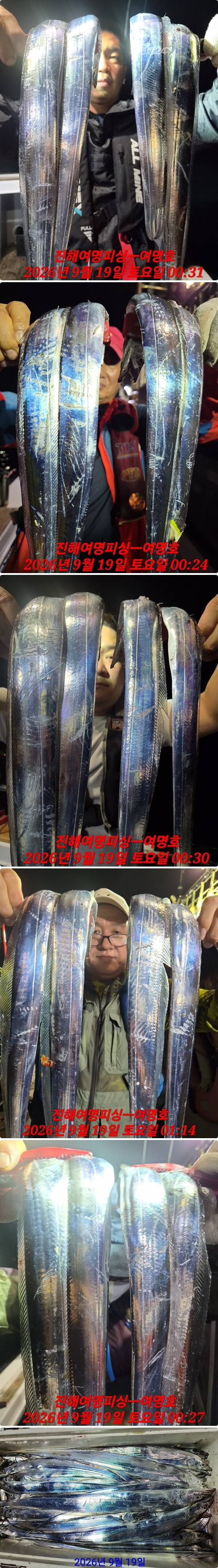 19일갈치하.jpg