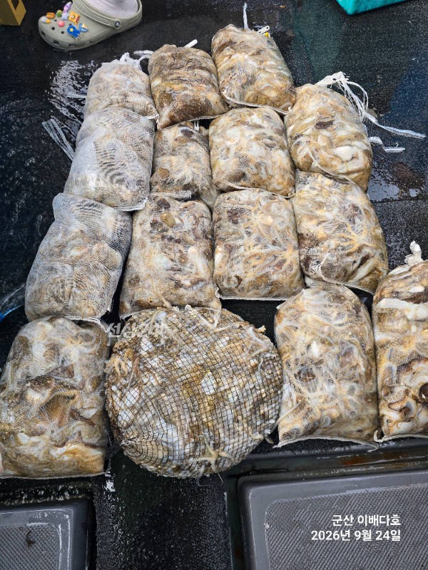 KakaoTalk_20260924_163317030_04.jpg