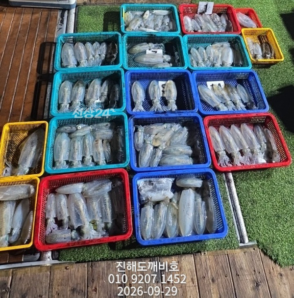 8710.jpg