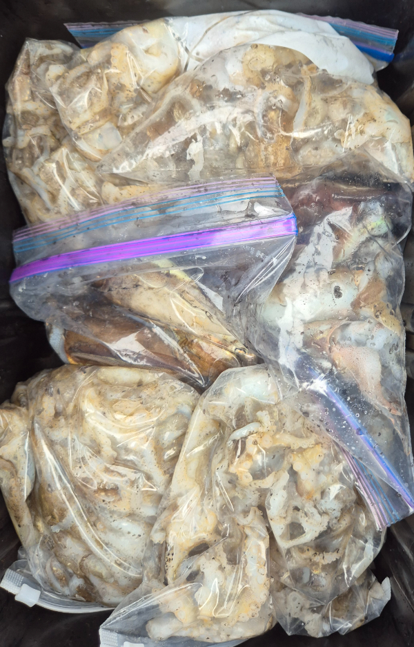 1000069846.jpg