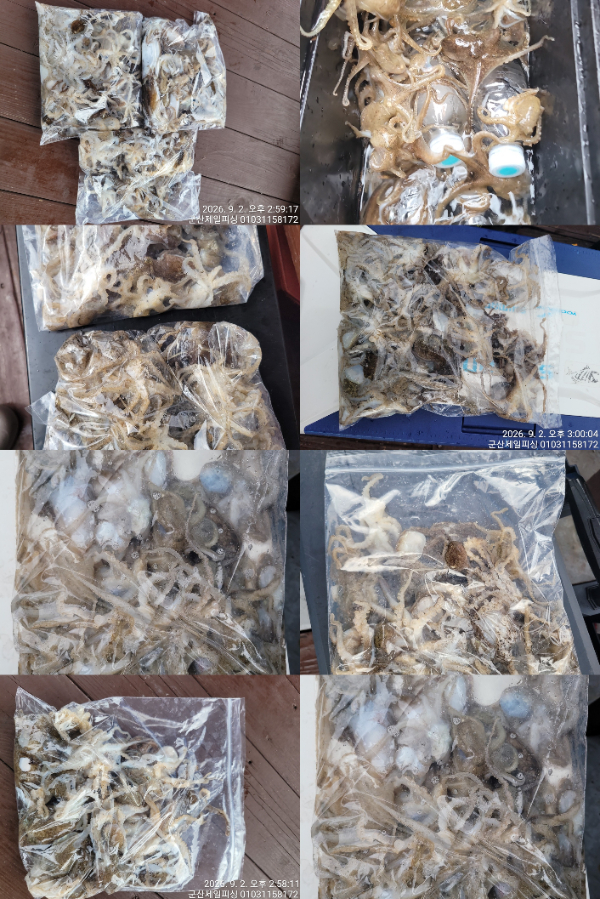 0902제일쭈전체.jpg