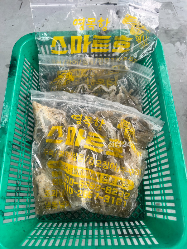 KakaoTalk_20260924_172314773_05.jpg