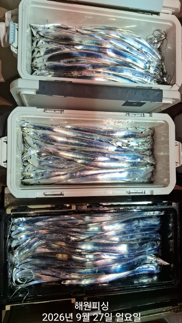 1000037024.jpg