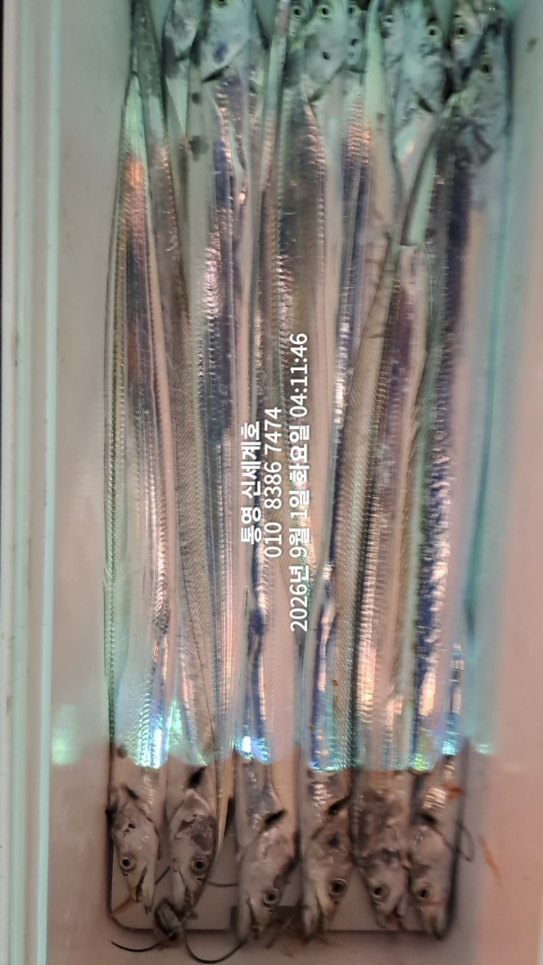 1788213244110.jpg