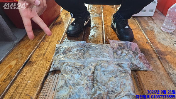 7636.jpg