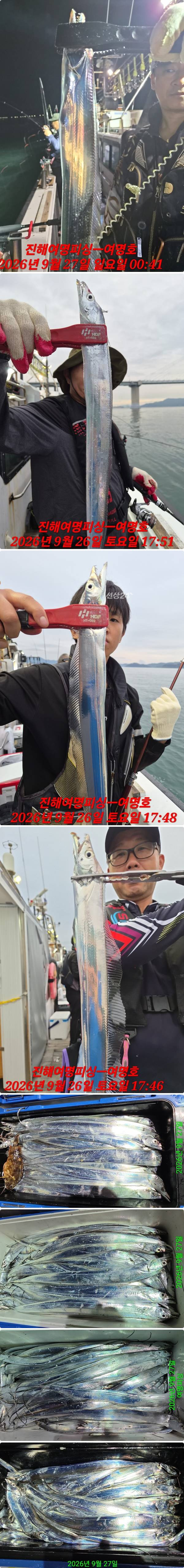 27일갈치하.jpg