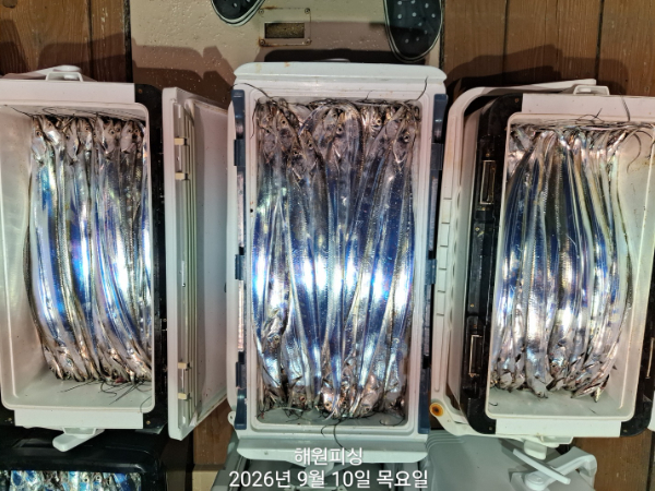 1000036658.jpg