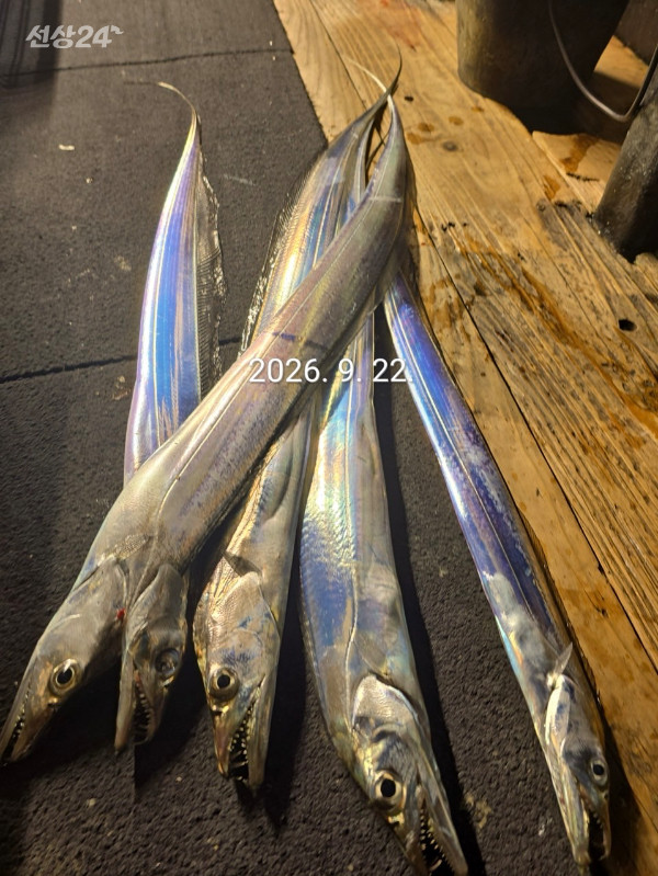4B243511-F7AB-4944-8628-A2D1795CE9BD.jpeg