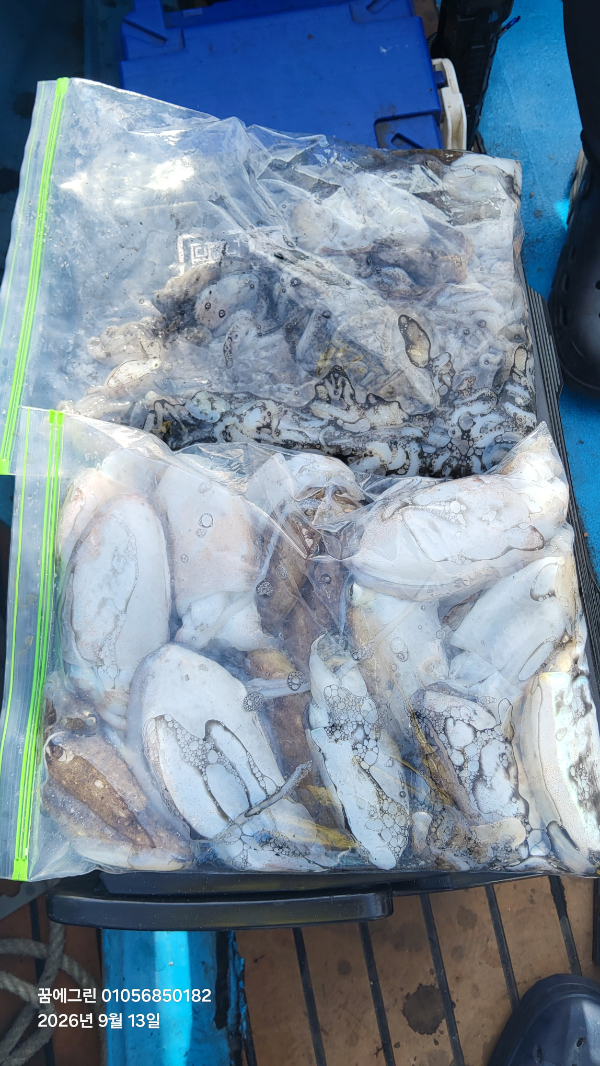 1번대구초짜.jpg