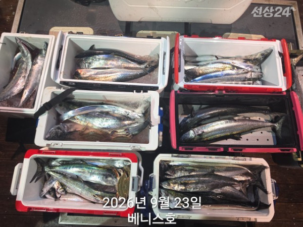 KakaoTalk_20260923_031051231_05.jpg