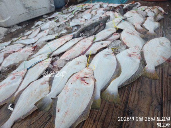 KakaoTalk_20260926_181608794_04 - 복사본.jpg