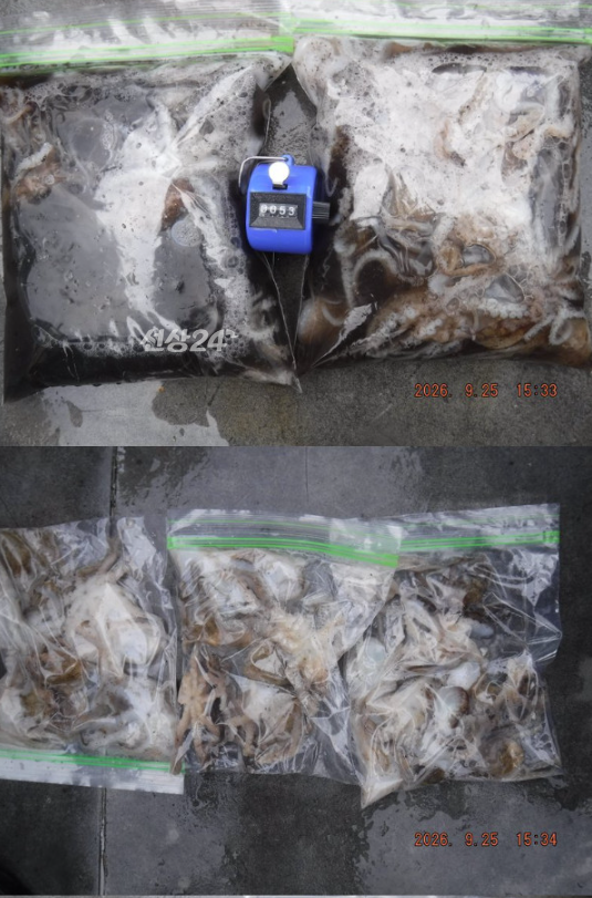 스크린샷 2026-09-26 105945.png