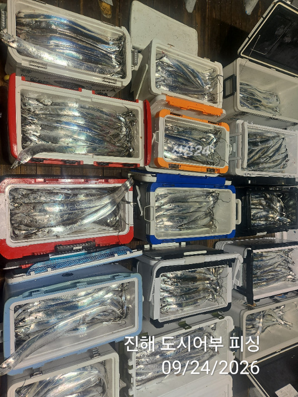 KakaoTalk_20260924_050456578_07.jpg