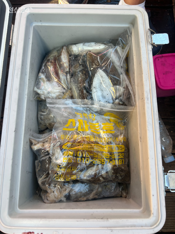 KakaoTalk_20260919_185749817_05.jpg