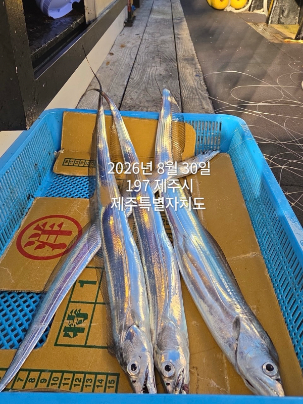 A5FA5E96-D163-4D6A-AA5C-EADCB76DE006.jpeg